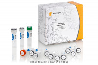 Евроген Набор для синтеза кДНК Mint-2, 20 реакций, 10 мкл, Россия
