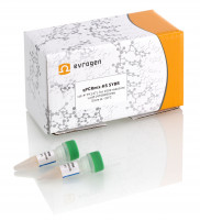 Евроген Готовая смесь для ПЦР qPCRmix-HS SYBR, 0,5 мл, 100 реакций, Россия